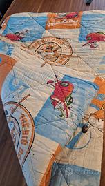 Trapunta invernale di Cars