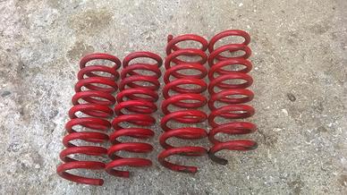 molle Mercedes assetto