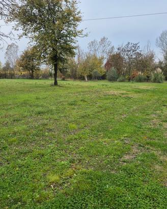 Terreno agricolo