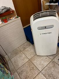 Climatizzatore pinguino