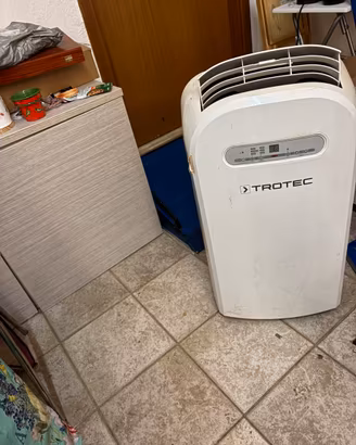 Climatizzatore pinguino