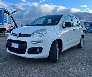Fiat Panda 1.3mjet 80cv - 2017