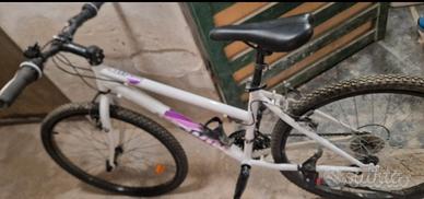 mountan bike 24