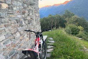 Beta Altro modello - 2010