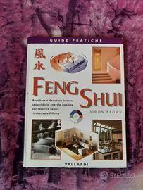 libro feng shui euro 8