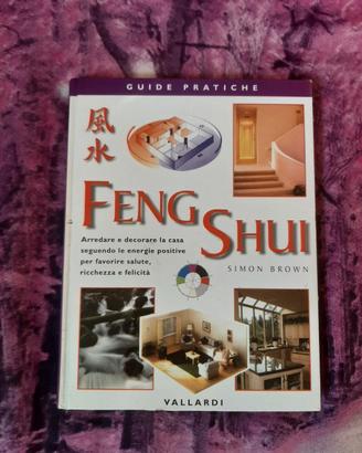 libro feng shui euro 8