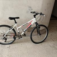 Bici mountenbike