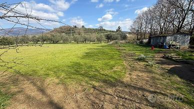 Terreno per orto o agricoltira biologica