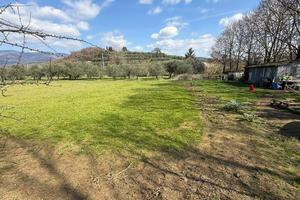 Terreno per orto o agricoltira biologica