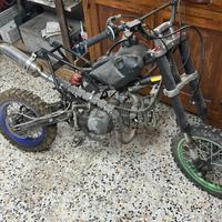 Smembro pitbike
