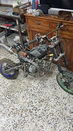 Smembro pitbike
