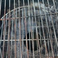 Barbecue a Carbone con Coperchio e Termometro