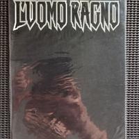L' uomo ragno 11 settembre 2001