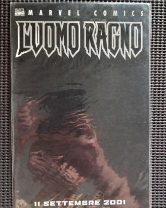 L' uomo ragno 11 settembre 2001