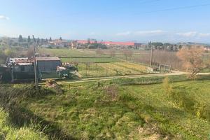 Terreno agricolo zona pratovecchio