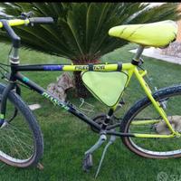 Bicicletta da ragazzo 