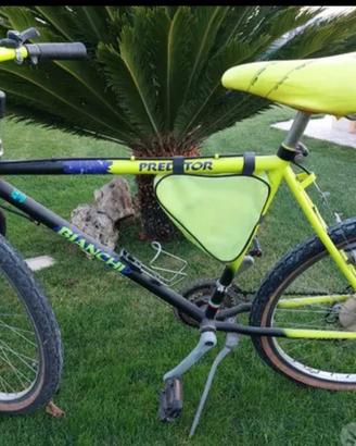 Bicicletta da ragazzo 