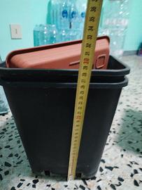 vaso I'm plastica rettangolare 