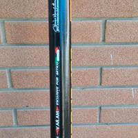 canna ARTICO DIABOLIKA MT 13