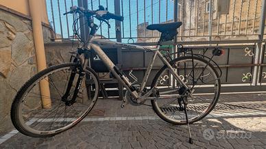 Bottecchia Alta Velocità perfetta 