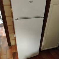frigo due mesi di vita 