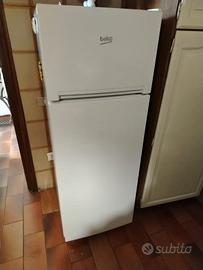 frigo due mesi di vita 
