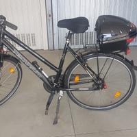 BICICLETA TEDESC