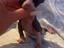 Immagine 2