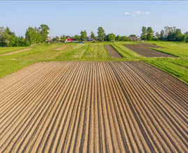 Lotti agricoli
