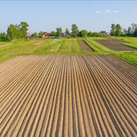 Lotti agricoli
