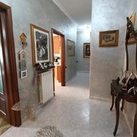 Falchera ampio alloggio piano alto con box