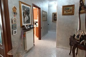 Falchera ampio alloggio piano alto con box