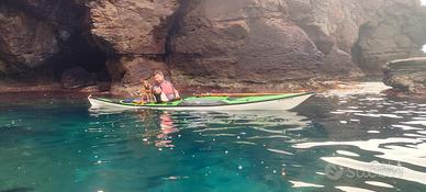 Kayak sea bird Scott MV