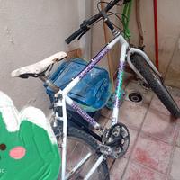 2 biciclette a 35 euro ciascuna 