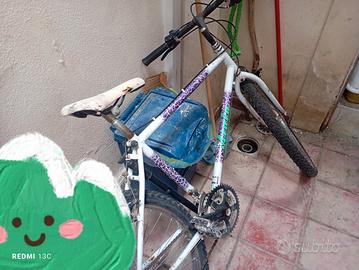 2 biciclette a 35 euro ciascuna 