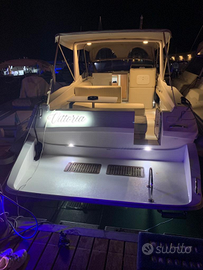 Arion Marine Dart 36