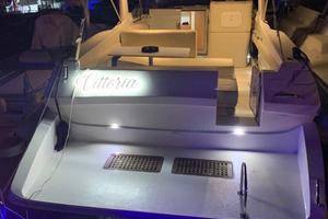 Arion Marine Dart 36