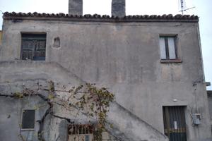 Uliveto + Appartamento rustico da ristrutturare