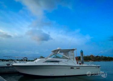 WELLCRAFT COASTAL 2800 –  LINEA D’ASSE