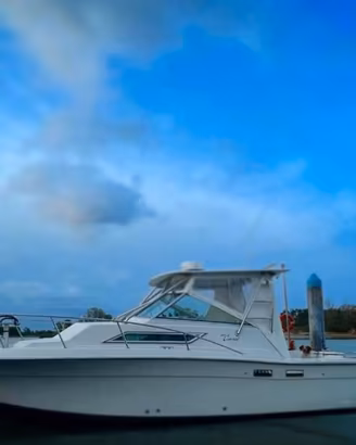 WELLCRAFT COASTAL 2800 –  LINEA D’ASSE