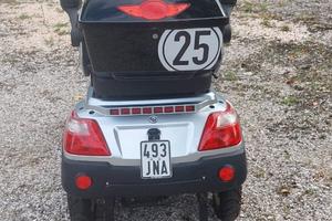 Altro Altro modello - 2019