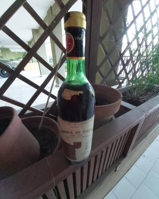 Vino malvasia di cagliari, anno intorno al 1976