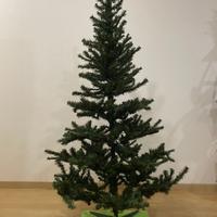 Albero Natale