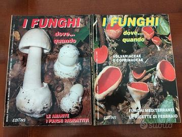 funghi lotto di riviste 