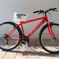 Bicicletta Scrapper