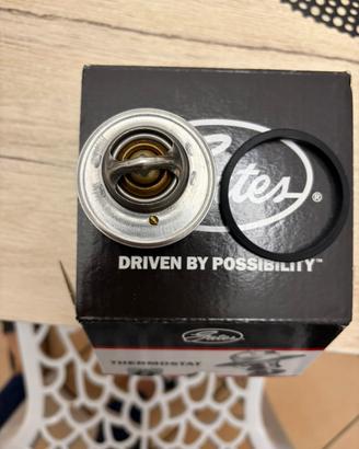 Termostato auto Suzuki Samurai-Sj413-SJ410