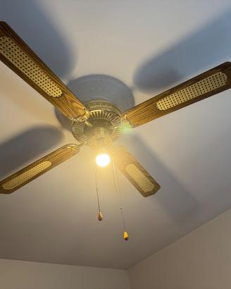 Ventilatore a soffitto