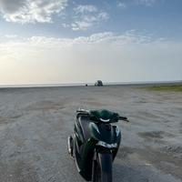 Sh125 verde vetro 2024