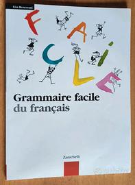 Libro mai usato: "Grammaire facile du francais"