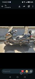 Majesty 250